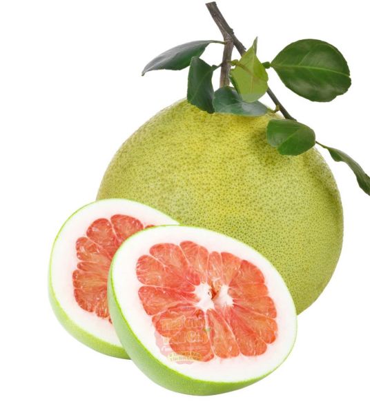 Bưởi