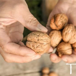 Mua hạt Óc Chó ở đâu tại Tp Hồ Chí Minh??