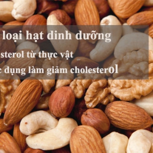 Bạn có tin khi ăn nhiều các loại hạt dinh dưỡng trên 4 lần trong 1 tuần sẽ nguy cơ chết do bệnh tim mạch giảm (con số thống kê là 50%) ?